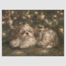 Shih Tzu durmiendo