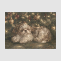 Shih Tzu durmiendo 