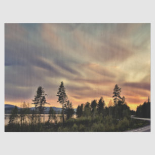 Papel De Seda Siga el Sun