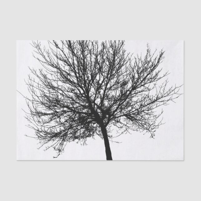 Papel De Seda Silhouette de árbol (Anverso)