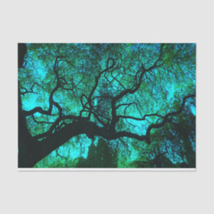 Papel De Seda Silhouette de árbol de Fantasy Turquoise