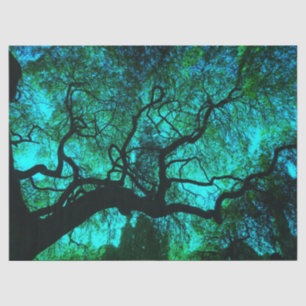 Papel De Seda Silhouette de árbol de Fantasy Turquoise