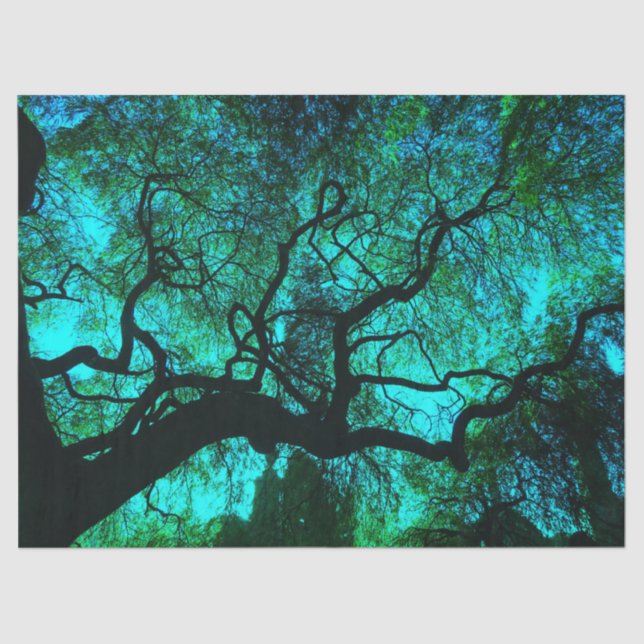 Papel De Seda Silhouette de árbol de Fantasy Turquoise (Anverso)