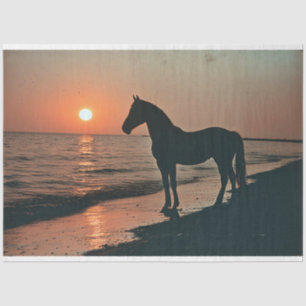 Papel De Seda Silhouette Horse Sunset by the Ocean Decoupage