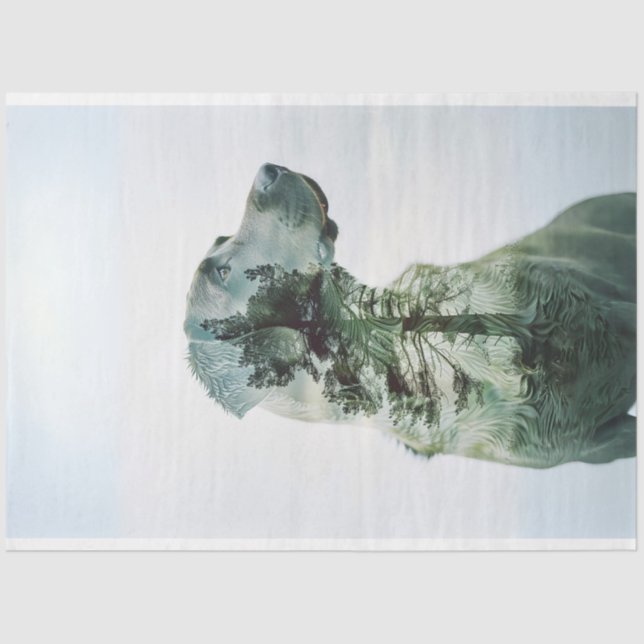 Papel De Seda Silhouette Lab Expuso la Descarga de Películas (Anverso)