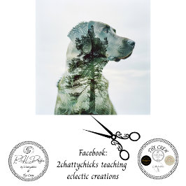 Papel De Seda Silhouette Lab Expuso la Descarga de Películas