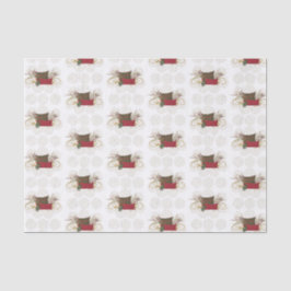 Papel De Seda Sillón de confort y alegría