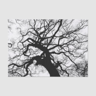 Papel De Seda Silueta blanco y negro del árbol