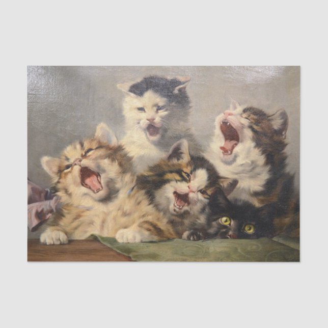 Papel De Seda Sinfonía de gatitos de Julius Adam II (Anverso)