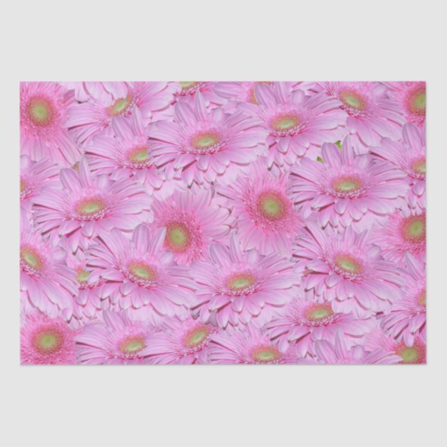 Papel De Seda Sinfonía de Gerberas Rosadas, (Anverso)