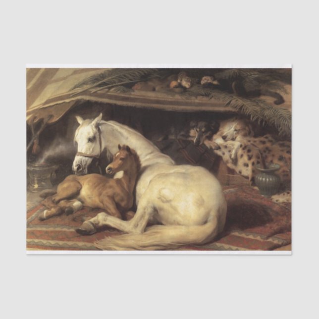 Papel De Seda Sir Edwin Henry Landseer | Tienda árabe (Anverso)
