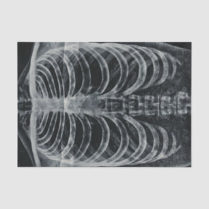 Papel De Seda Skeleton Jaula Jaula Vintage Blanco Negro Gótico