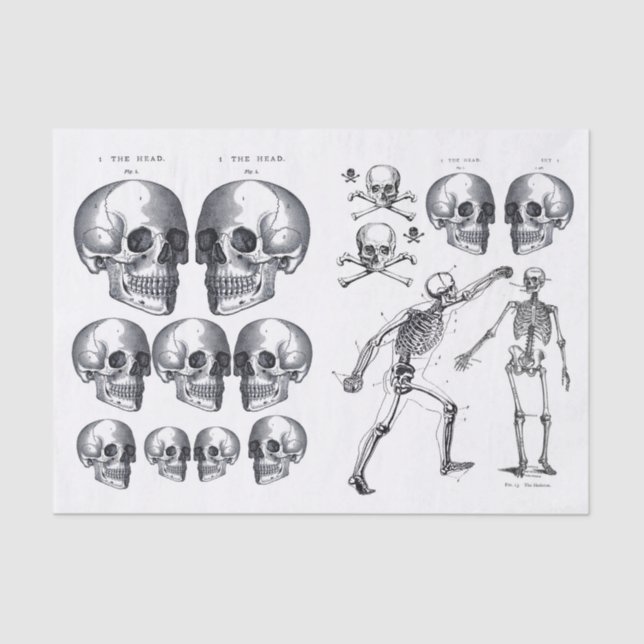 Papel De Seda Skeleton Skulls Skull n Bones Decoupage Collage Ti (Anverso)