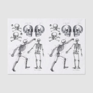 Papel De Seda Skeleton Skulls Skull n Bones Decoupage Collage Ti