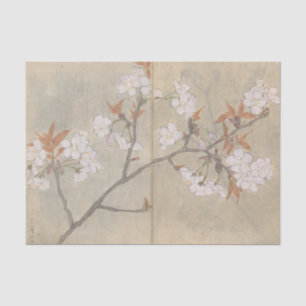 Papel De Seda Sketchbook Pl. 088 de Ariyoshi Kondo