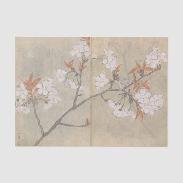 Papel De Seda Sketchbook Pl. 088 de Ariyoshi Kondo (Anverso)