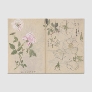 Papel De Seda Sketchbook Pl. 107 de Ariyoshi Kondo