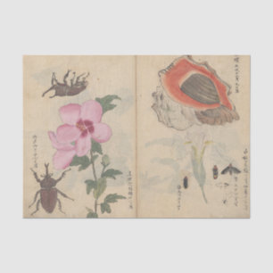 Papel De Seda Sketchbook Pl. 108 de Ariyoshi Kondo