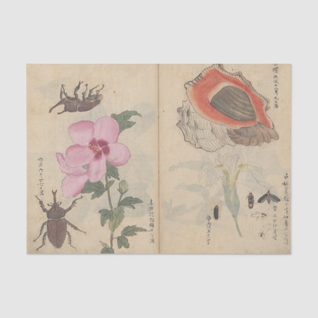 Papel De Seda Sketchbook Pl. 108 de Ariyoshi Kondo (Anverso)