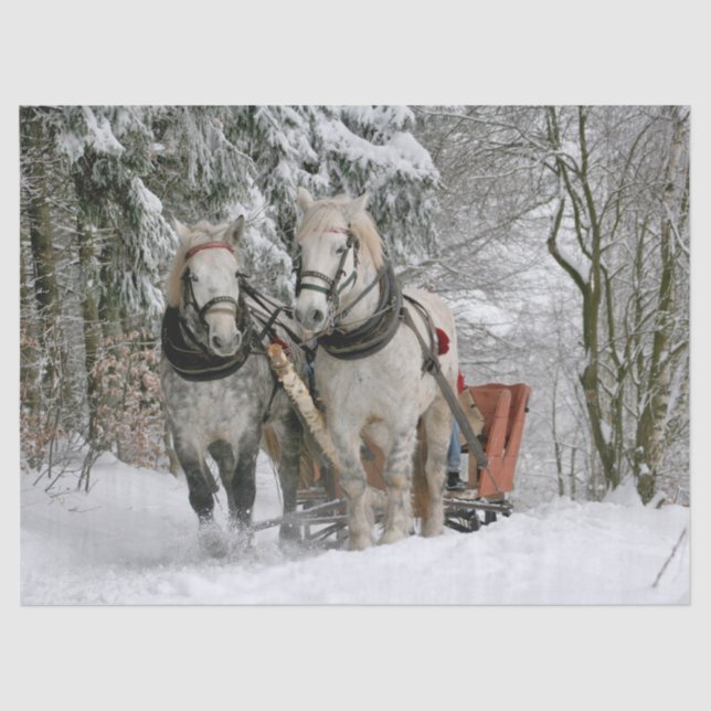 Papel De Seda Sleigh Ride (Anverso)