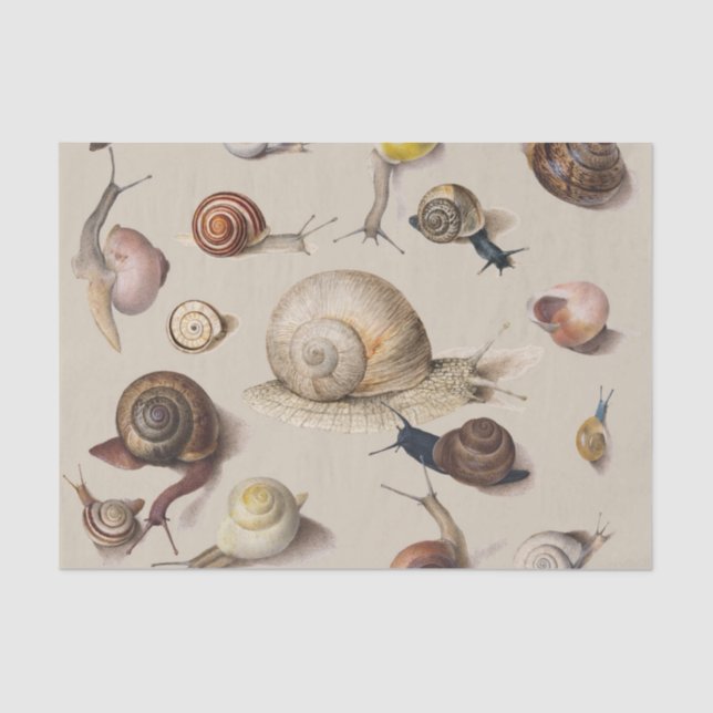 Papel De Seda Snail Slug Garden Mascota Gastropod Snails Botanic (Anverso)