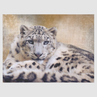 Papel De Seda Snow Leopard Lying Down