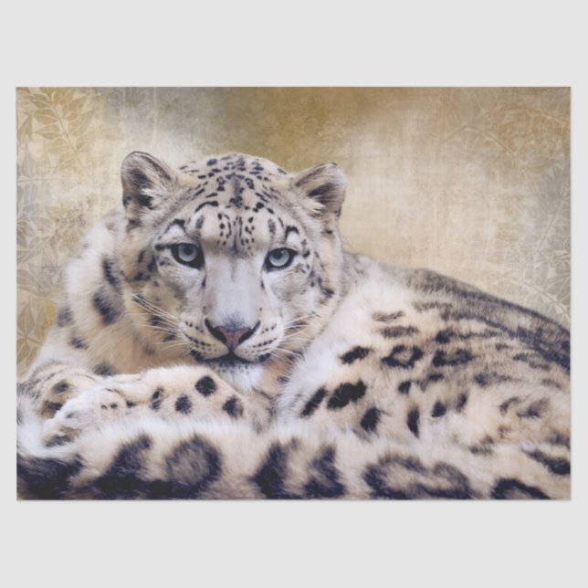 Papel De Seda Snow Leopard Lying Down (Anverso)