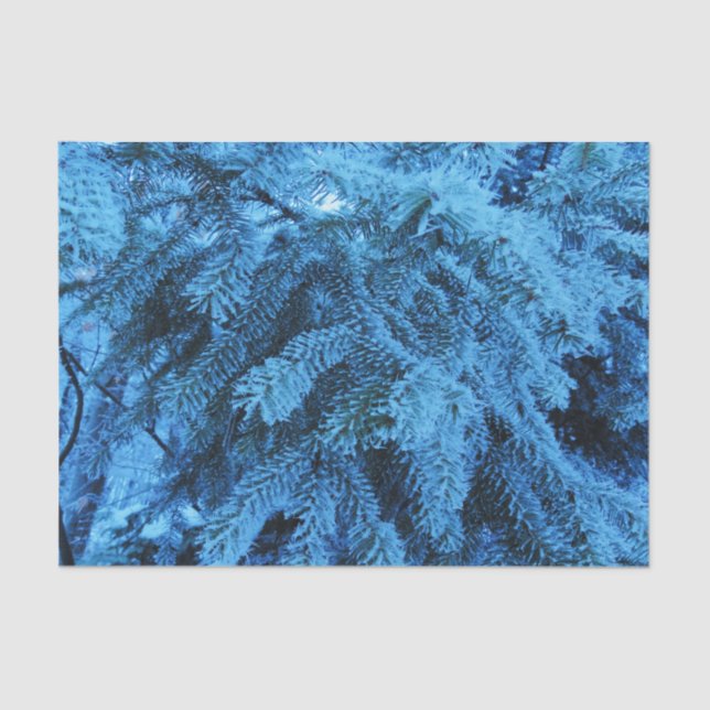 Papel De Seda Snowy Forest Spruce (Anverso)