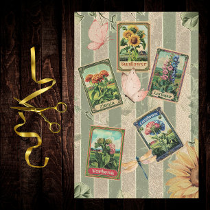 Papel De Seda Sobre de Semillas Vintage Sage Rayas Aspecto de Te