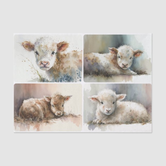 Papel De Seda Sólo un bebé (Anverso)