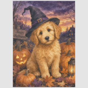 Papel De Seda Sombrero de Bruja de Calabaza Goldendoodle