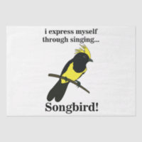 Songbird Tit Bird Funny Birdwatcher