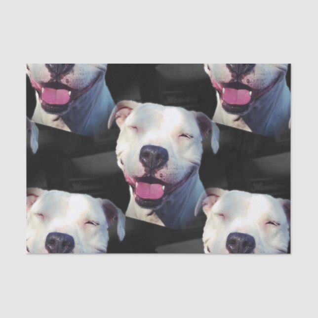 Papel De Seda Sonrisa (Anverso)