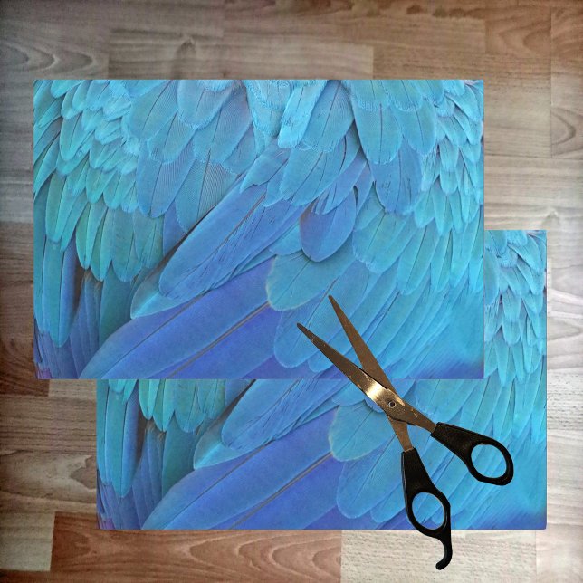 Papel De Seda Soy azul - las plumas de loro se cierran (Subido por el creador)