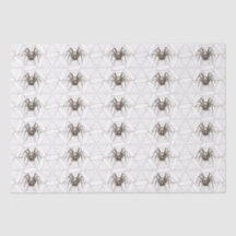 Spider Cobweb Vintage Spooky Pattern Halloween