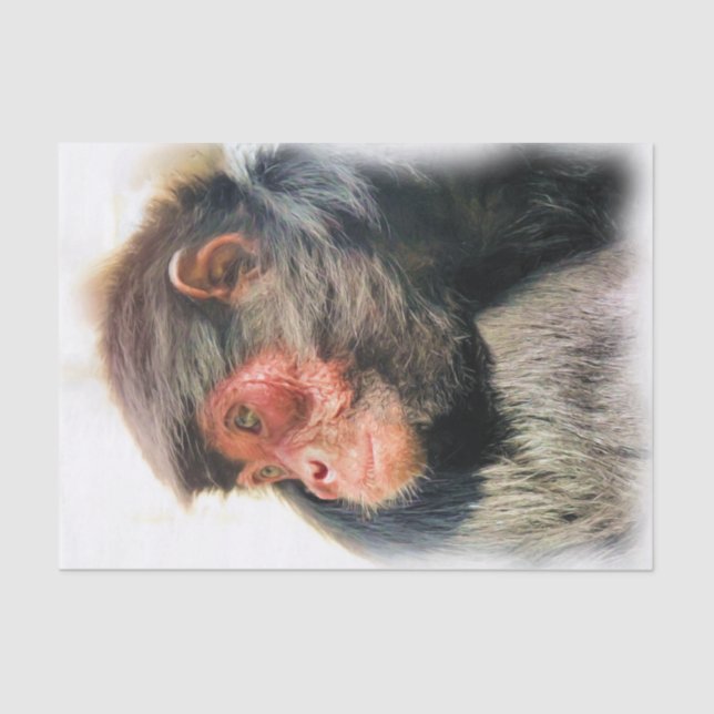 PAPEL DE SEDA SPIDER MONKEY (Anverso)