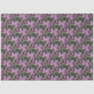 Papel De Seda Spider Witch Series Design 9