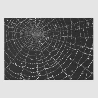 Papel De Seda Spiderweb
