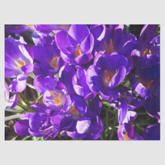 PAPEL DE SEDA SPRING CROCUS