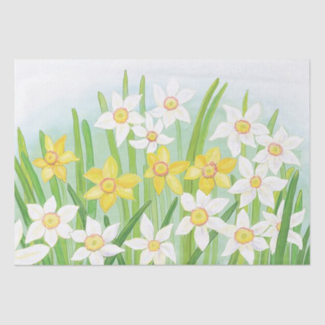 Papel De Seda Spring Daffodils (Anverso)