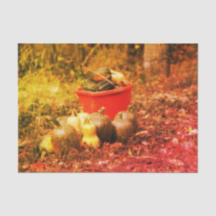 Papel De Seda Squash Country Garden Harvest Vintage Decoupage