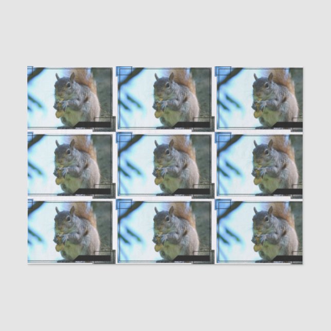 Papel De Seda squirrel-13.jpg (Anverso)