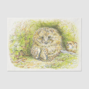 Papel De Seda Sr. Pricky Pin (Hedgehog) (de Beatrix Potter)