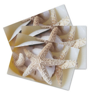 Papel De Seda Starfish and Sand Dollars Creamy White Coastre
