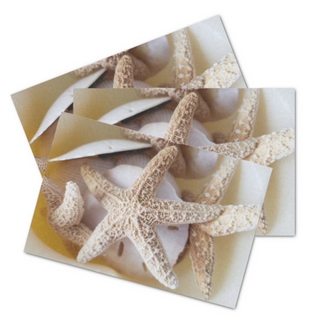 Papel De Seda Starfish and Sand Dollars Creamy White Coastre (Subido por el creador)