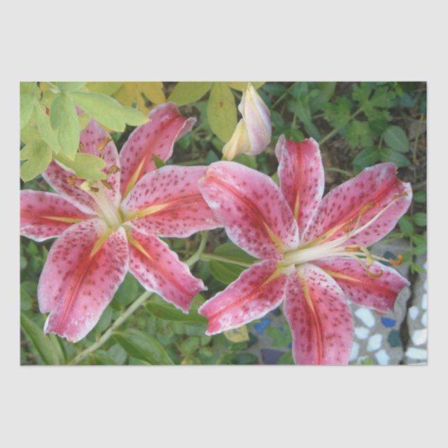 Papel De Seda Stargazer Lilies Garden Floral (Anverso)