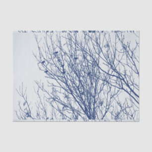 Papel De Seda Starlings en un árbol - efecto de Cyanotype