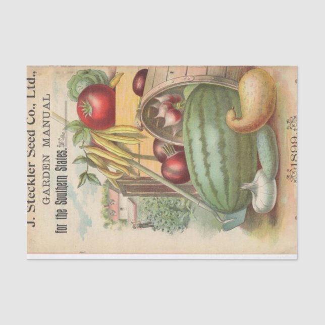 Papel De Seda Steckler Seed Company, 1899 (Anverso)