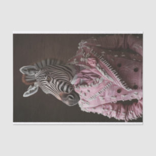 Papel De Seda Steve the Zebra