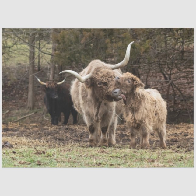 Papel De Seda Stirling Skye (Anverso)